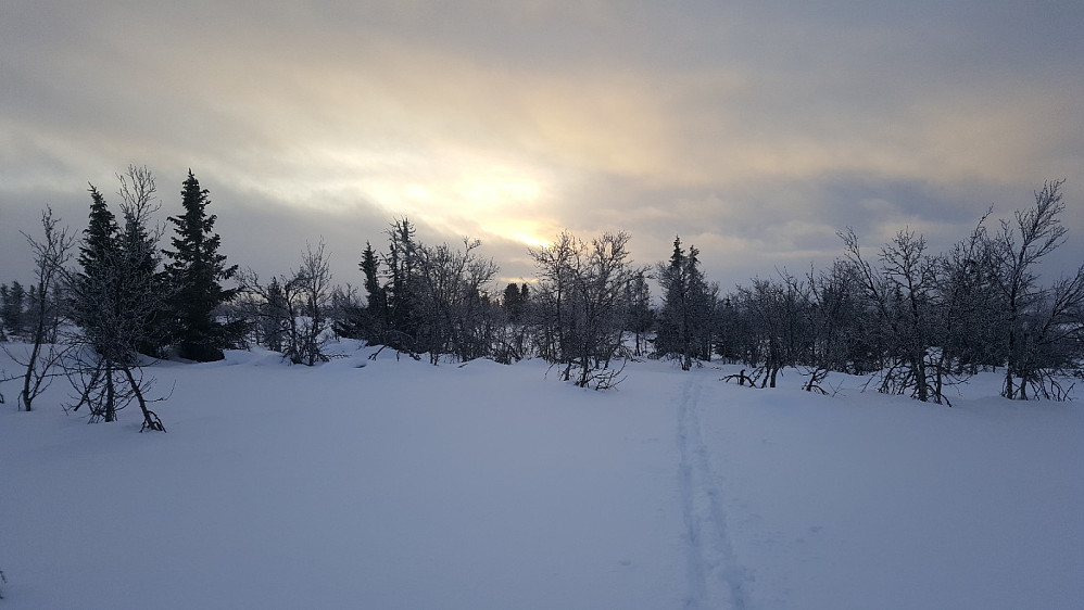 På Værskei