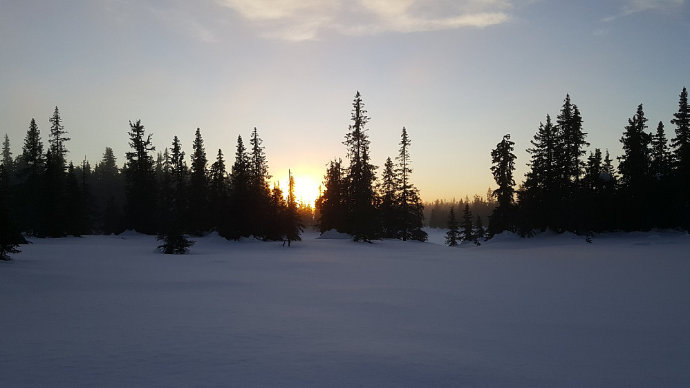 På ei myr på Kinnkjølen