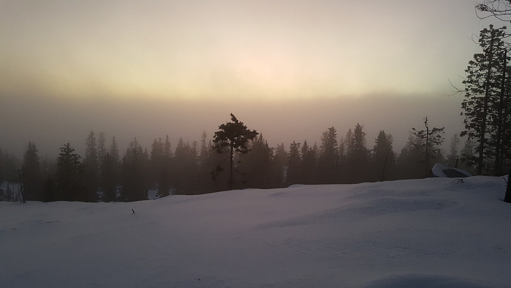 Finsrudbekkhøgda