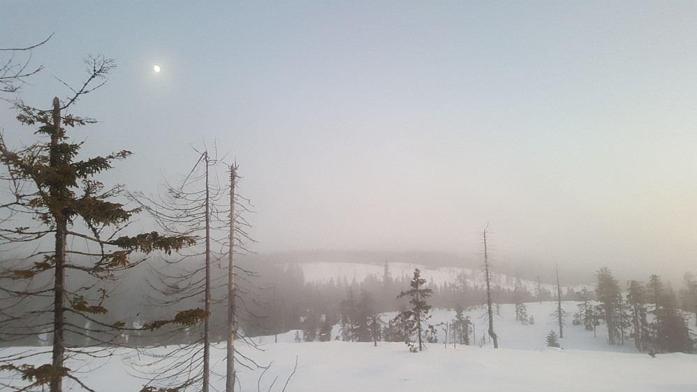 Finsrudbekkhøgda
