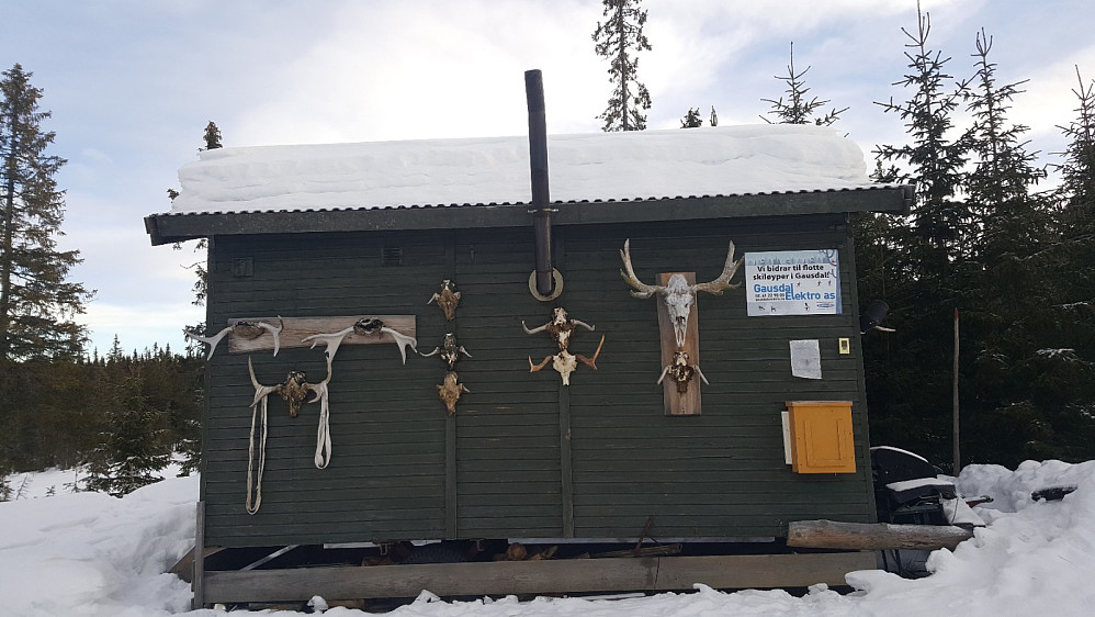 Tittut slott