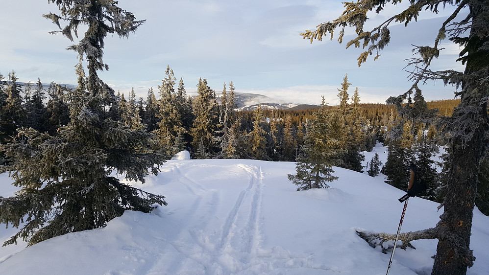 Rindåsen trigpunkt