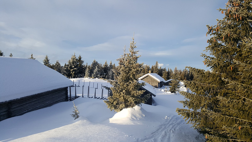 Rindåsen