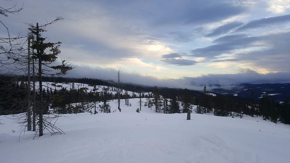Finsrudbekkhøgda