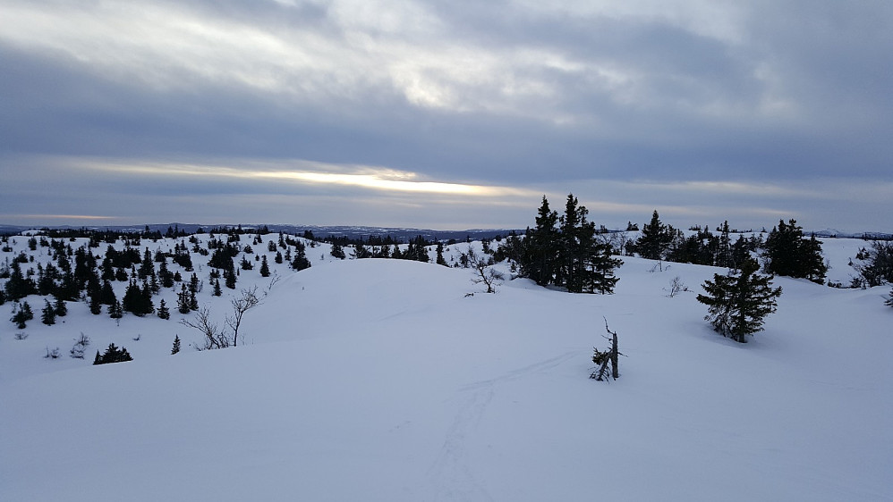 På Sør for Øvre Hesttjønnet