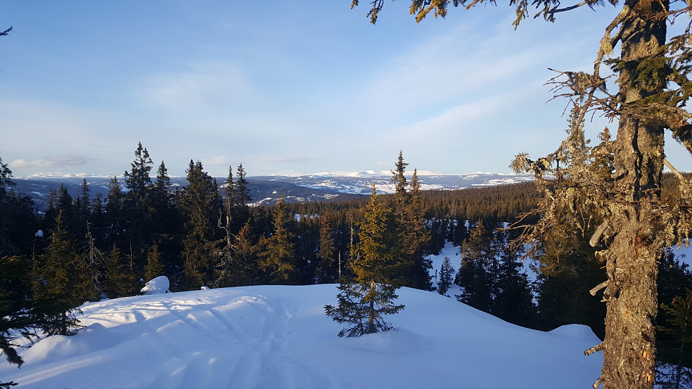 Rindåsen trigpunkt