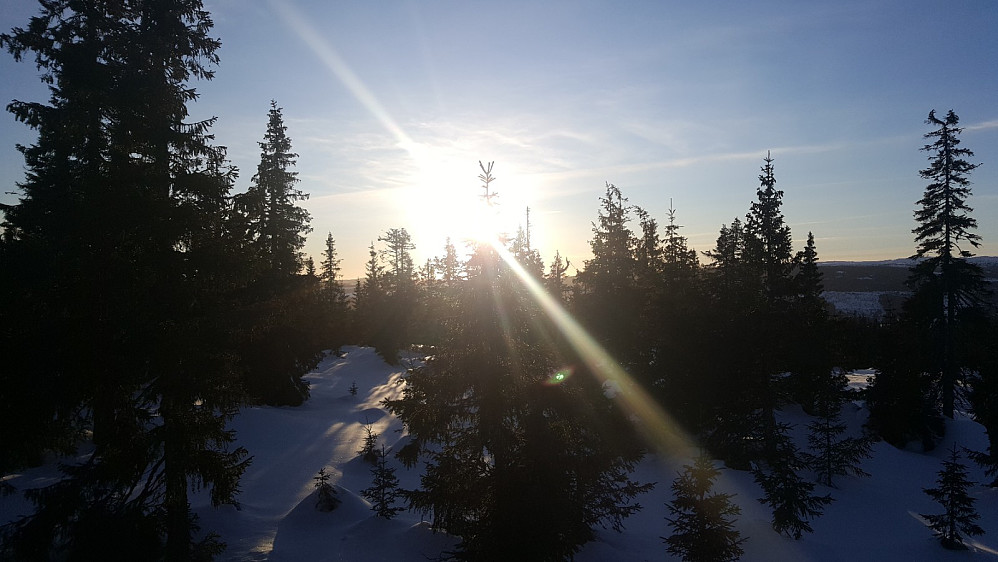 Rindåsen trigpunkt