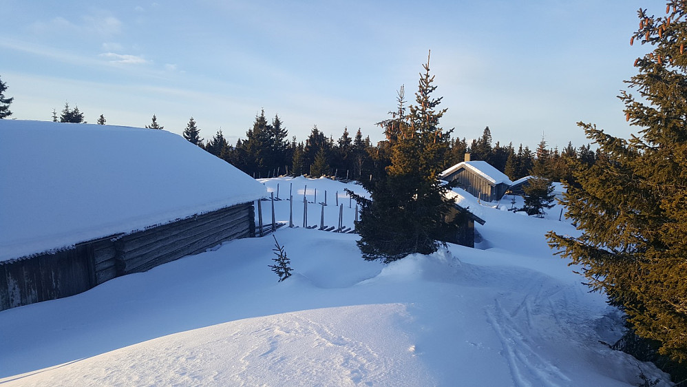 Rindåsen