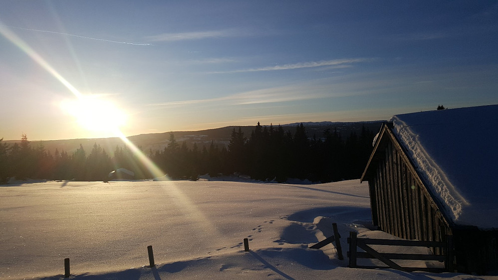 Rindåsen
