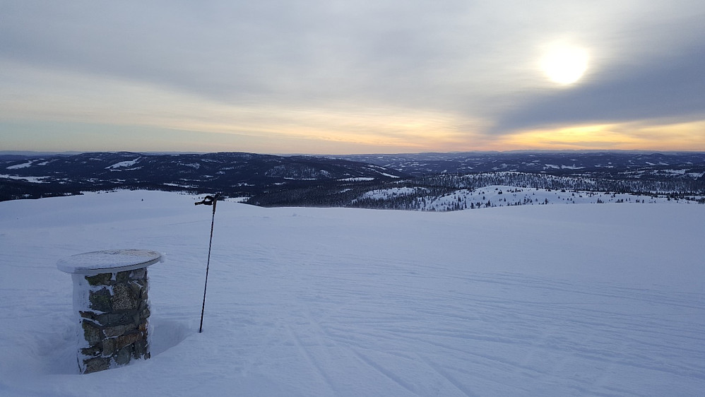 Prestkjerringa