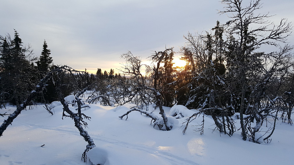 Værskeitoppen