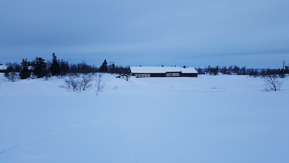 Værskei
