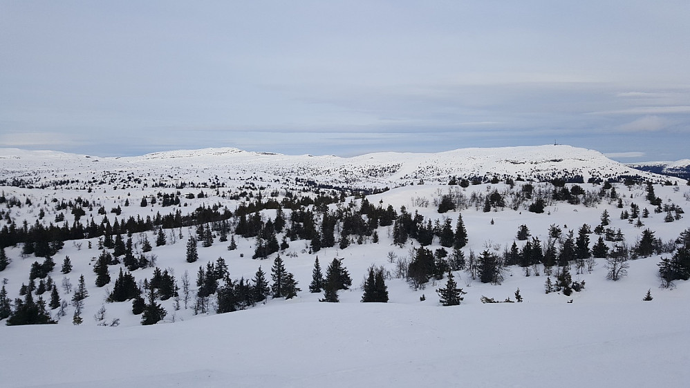 Langlitjønnhøgda