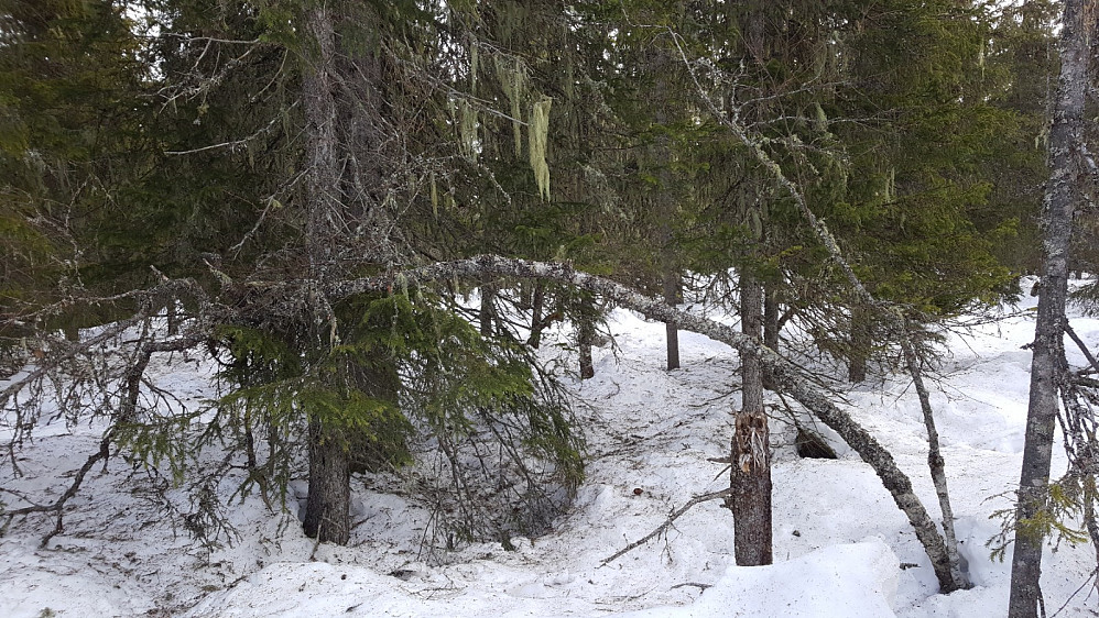 Åsen, hva er det som får meg til å oppsøke slike steder?