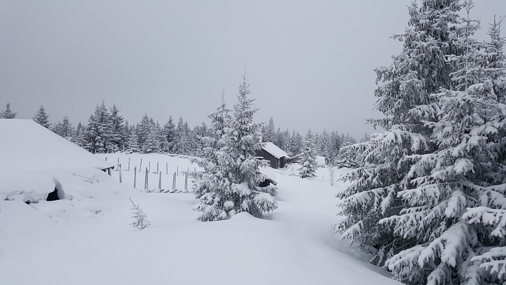 Rindåsen