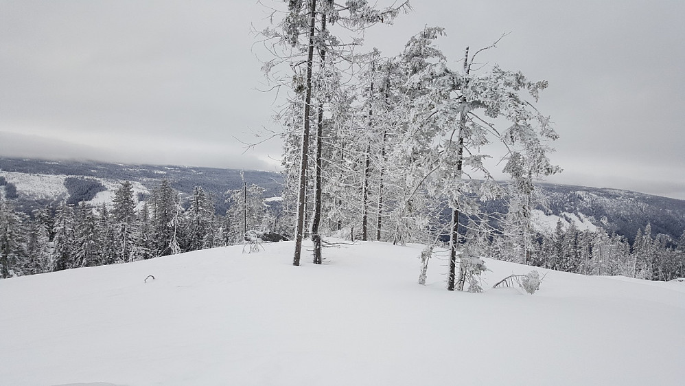 Finsrudbekkhøgda