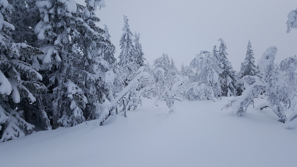 Værskeitoppen