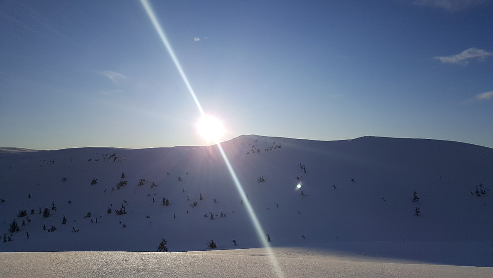 Rævskorotjernhaugen
