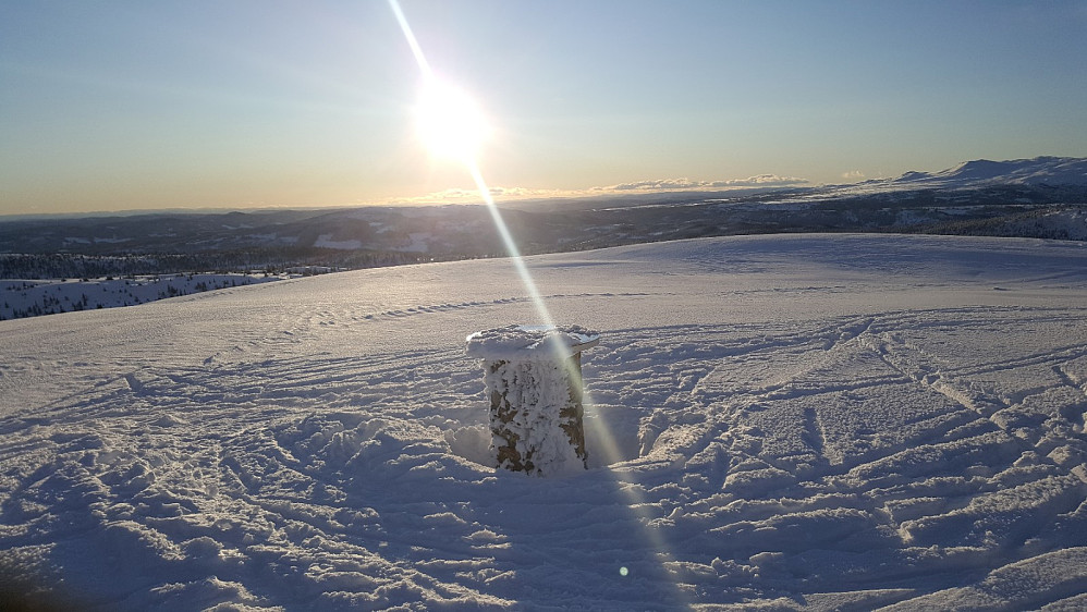 Prestkjerringa