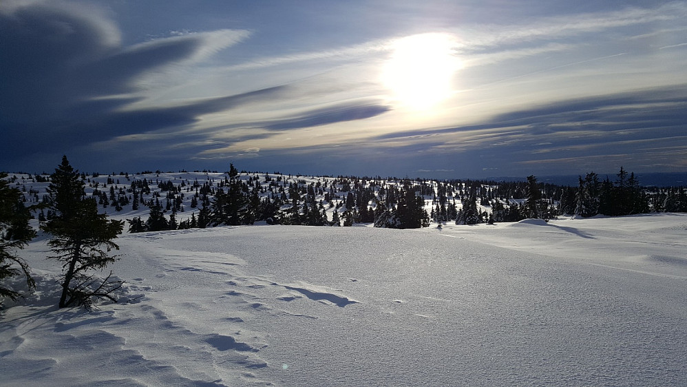 På Ytre Nysæterhøgda