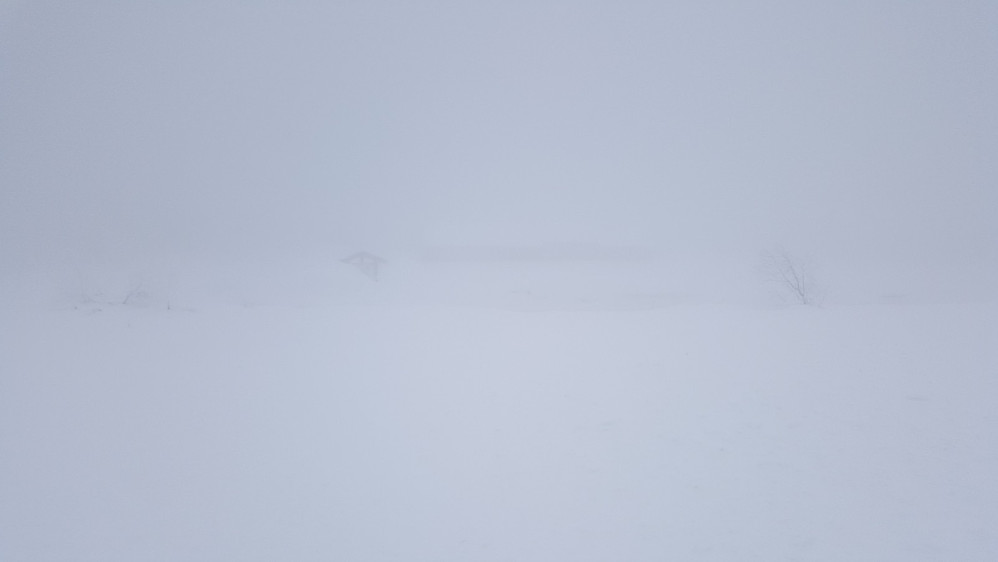 Værskei