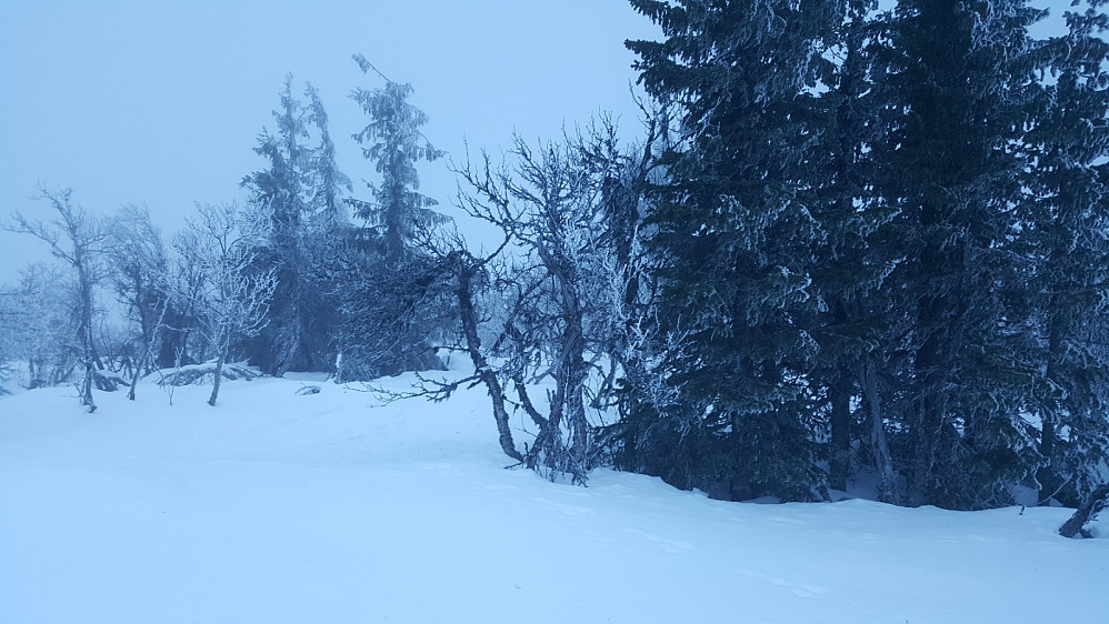 Værskeitoppen