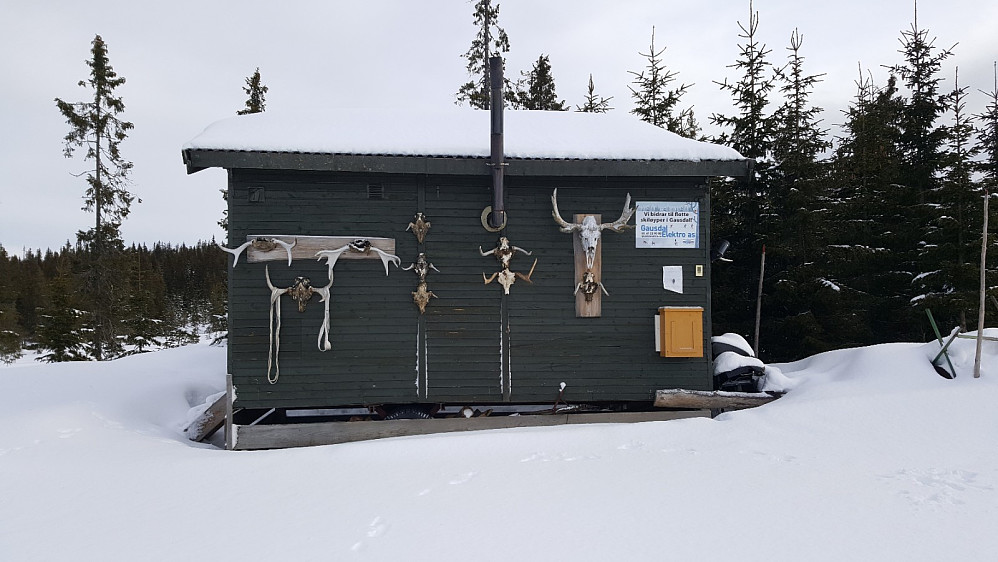 Tittut slott
