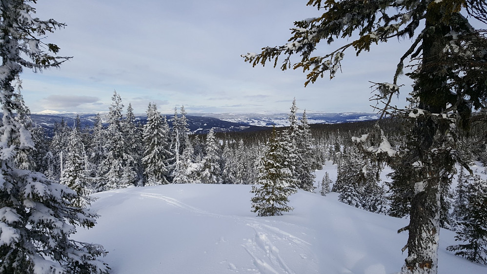 Rindåsen trigpunkt