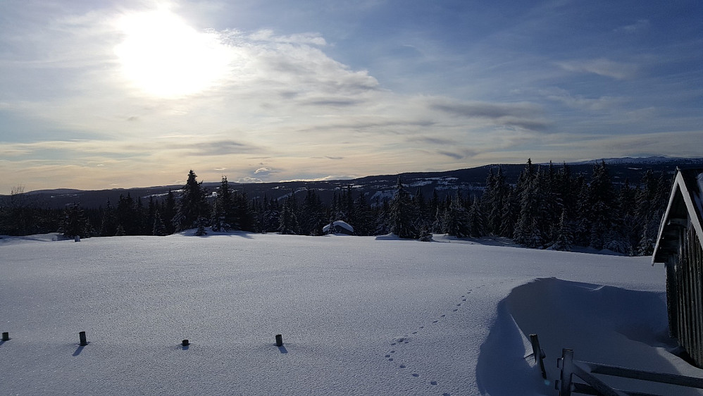 Rindåsen