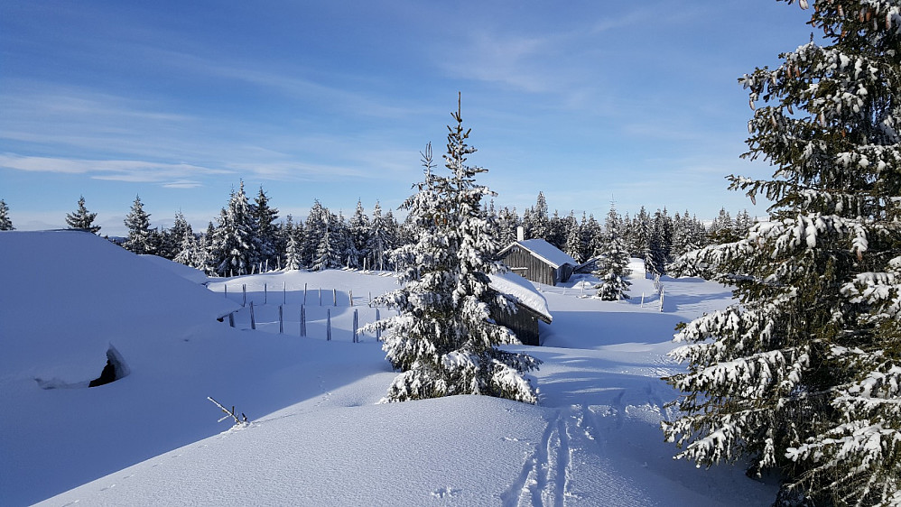 Rindåsen