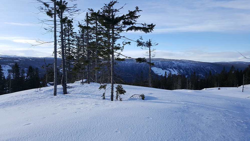 Finsrudbekkhøgda