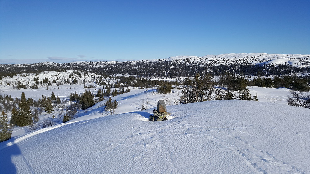 Blesterråkvarden