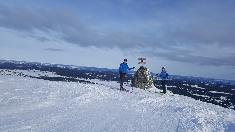 Prestkjerringa