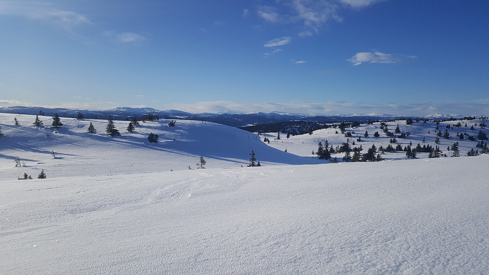 På Condruphaugen