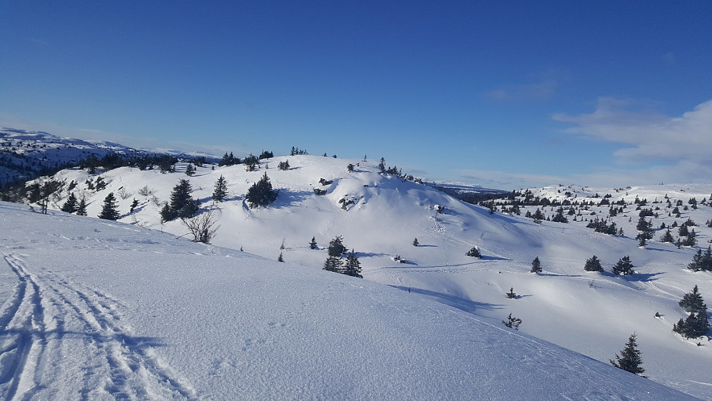 På Søre Gaustumseterfjellet, mot Nordre Gaustumseterfjellet