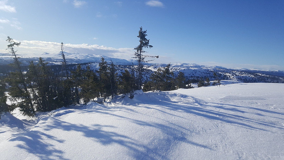 På Nordre Gaustumseterfjellet
