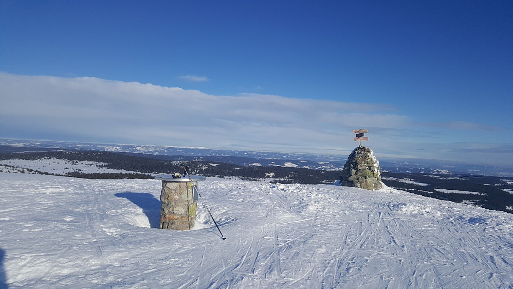 Prestkjerringa
