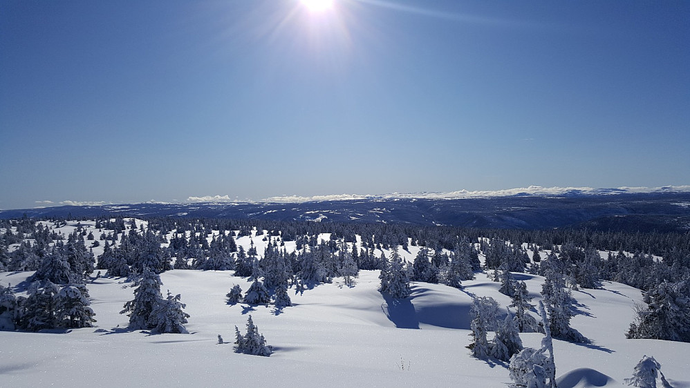 På Kyrakampen