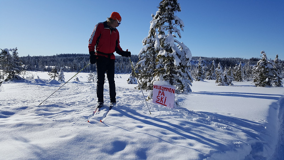 Inge ved halvveis nedsnødd plakat