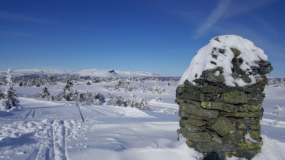Bjørga