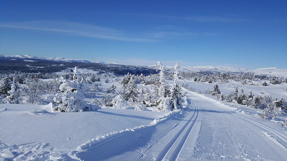 På Bjørga