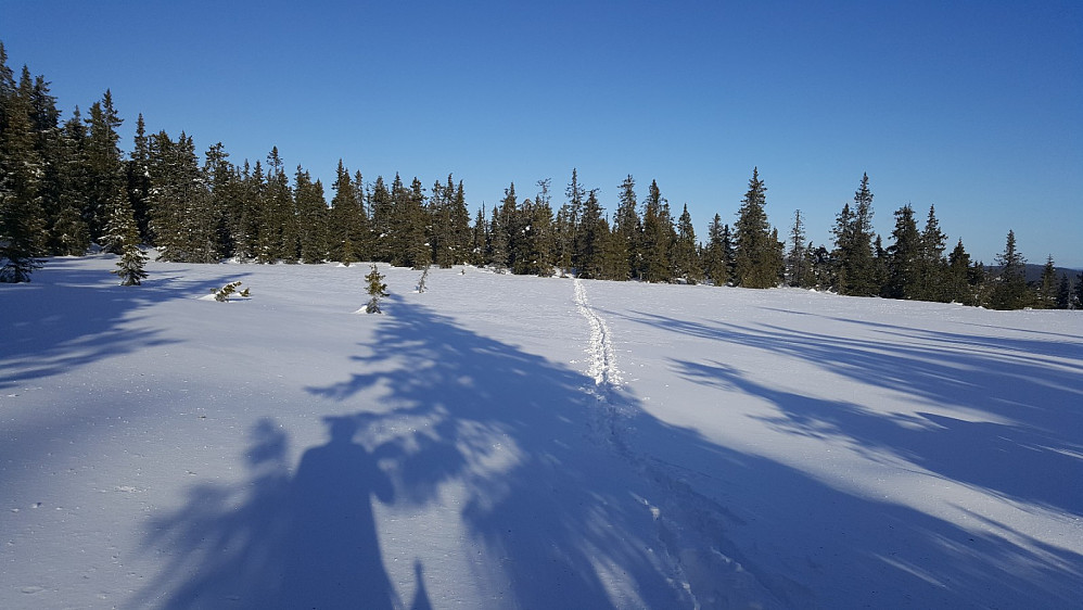 Skispor på Veslemyra