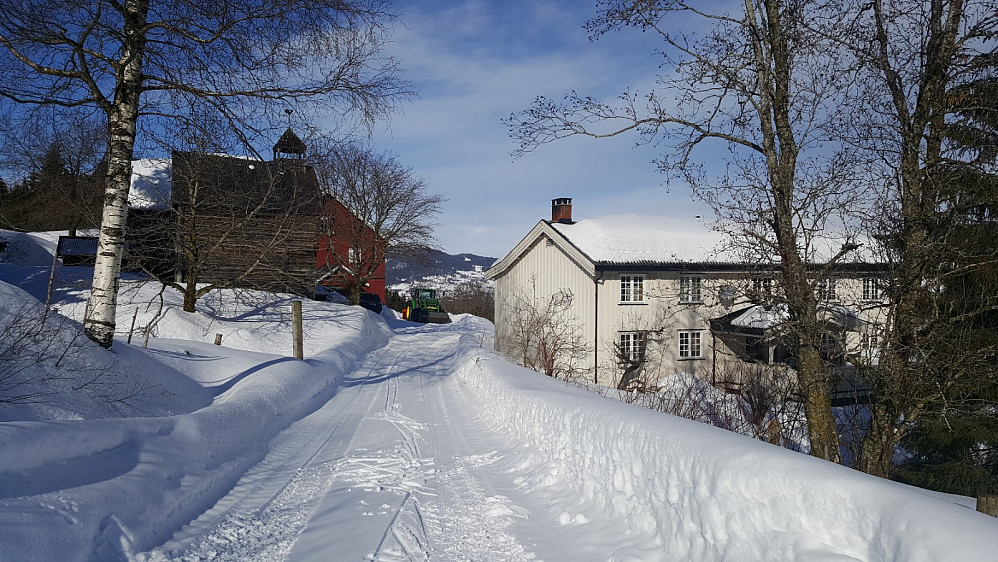 Nygaard