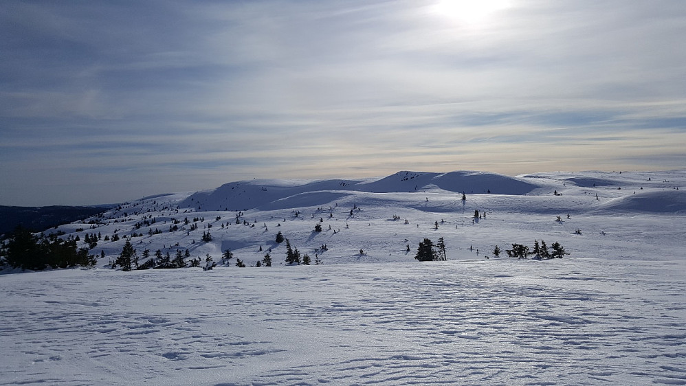 På Flugstadfjellet, mot Prestkjerringa