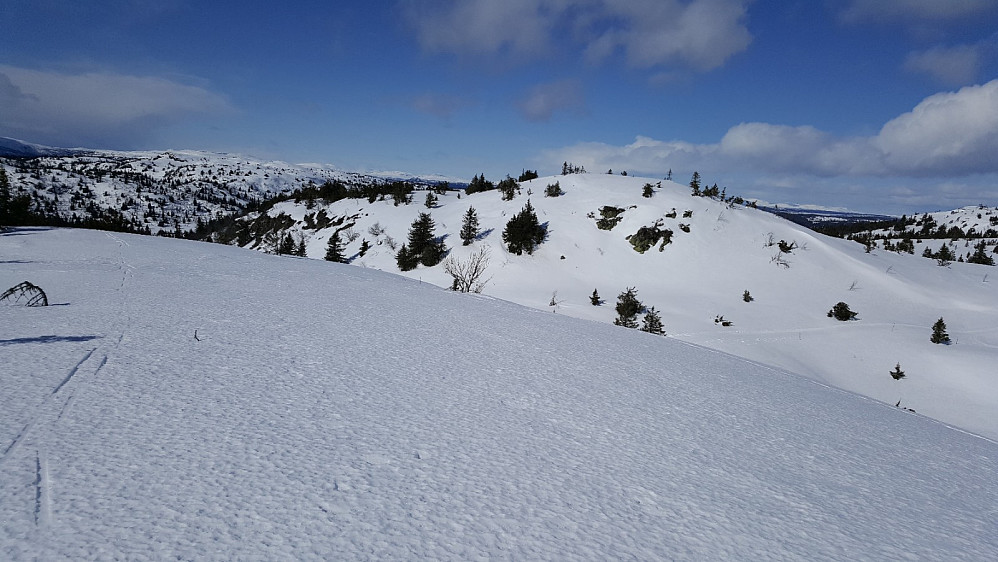 På Søre Gaustumseterfjellet, mot Nordre Gaustumseterfjellet