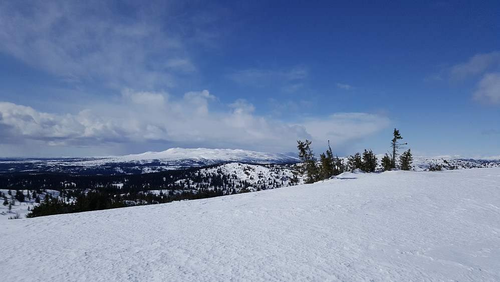 På Nordre Gaustumseterfjellet