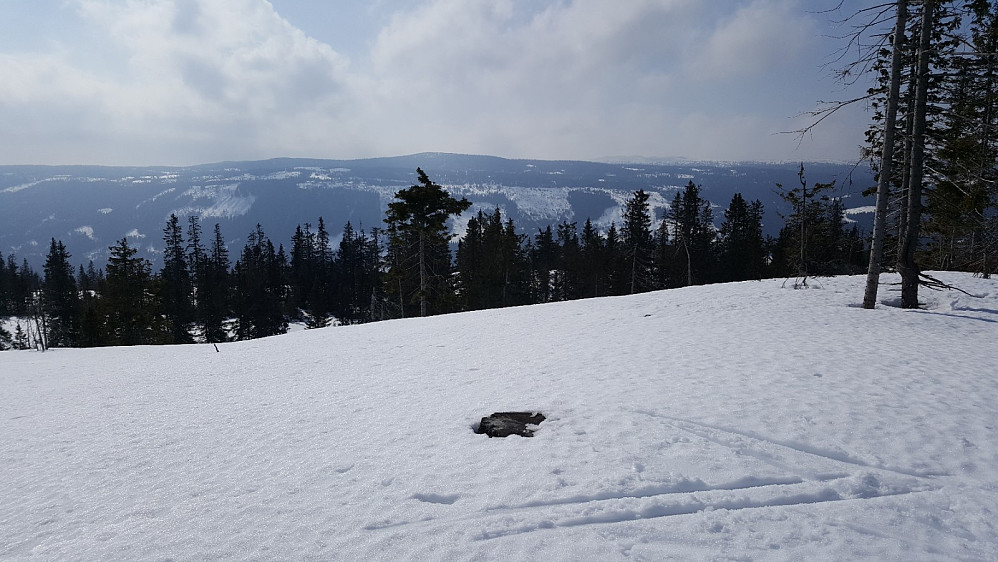 På Finsrudbekkhøgda