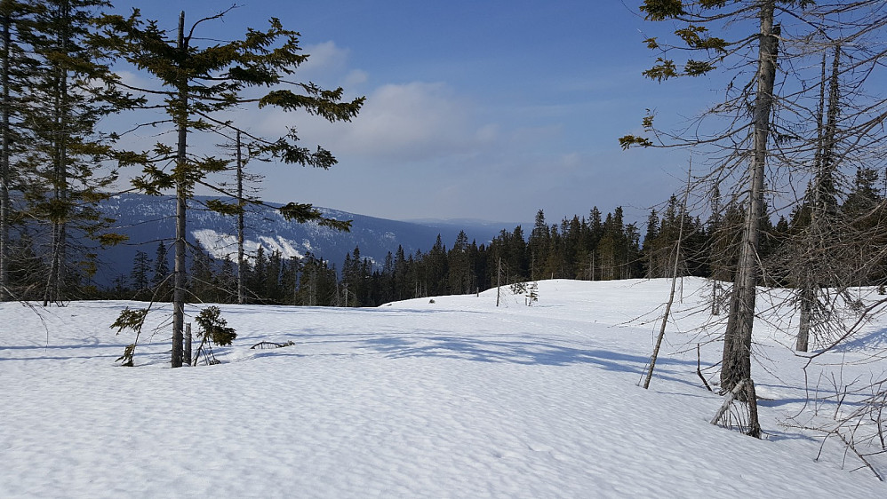 På Finsrudbekkhøgda