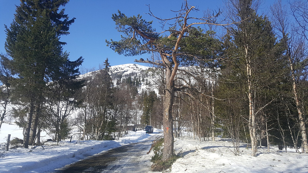 Starten gikk fra Valsetervegen