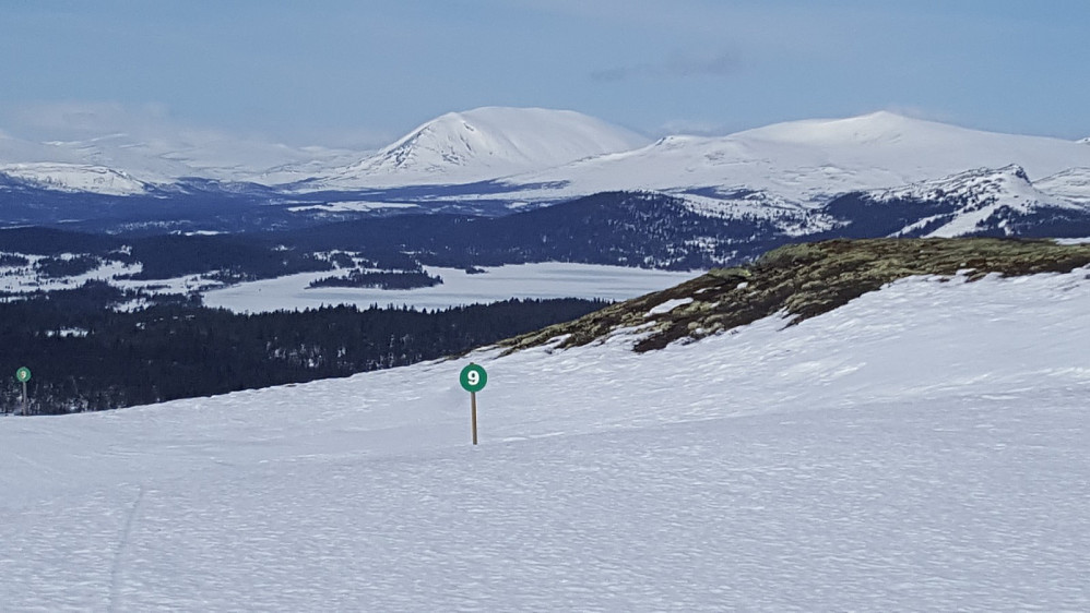 Fra nedfarten, mot Heidalsmuen og Saukampen